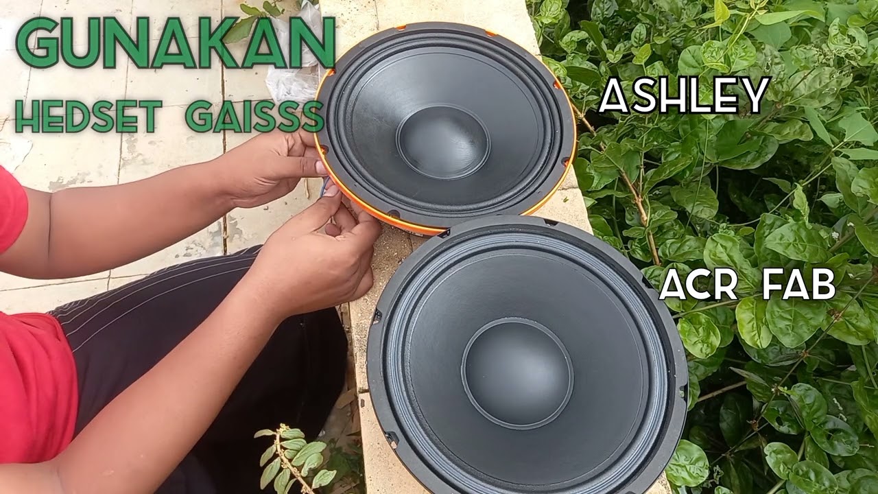 sepeaker ashley 10 inch oren vs acr fabulous 10 nic pilih mana?