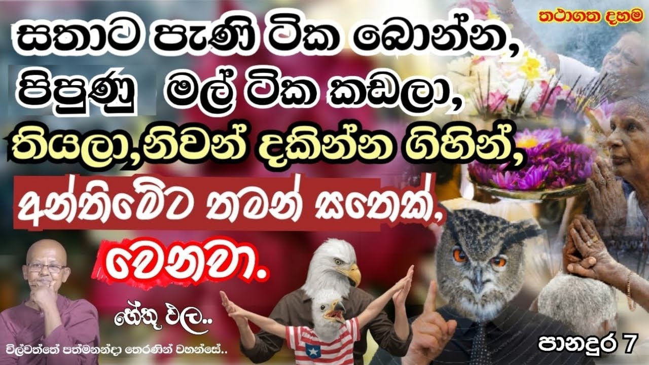 wilwaththe pathma theraniyo