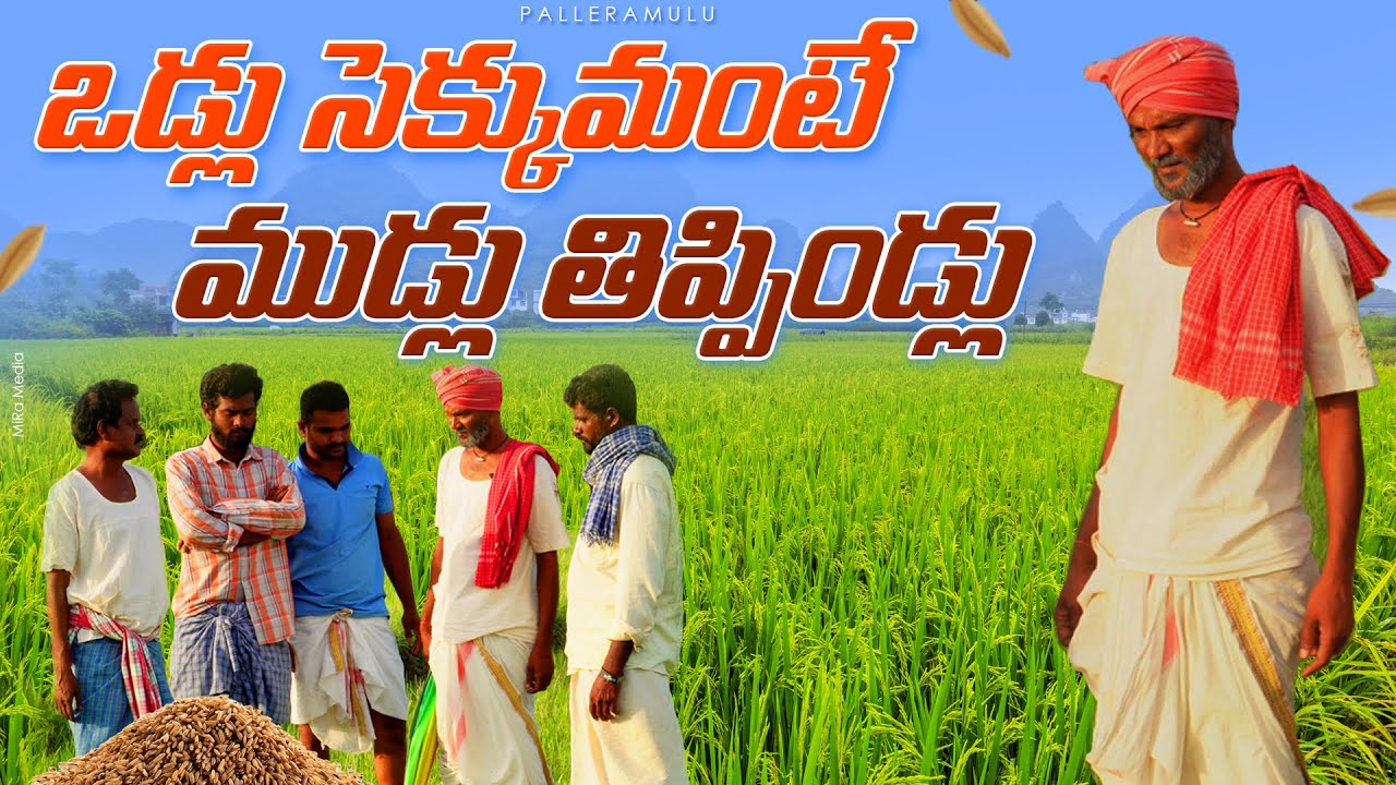 ఒడ్లు చెక్కుమంటే ముడ్లు తిప్పుతండ్లు | palle ramulu village comedy | vodlu chekkudu #trending #fun