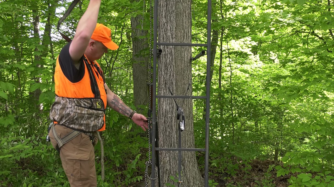 Tree Stand Safety: Installing a Ladder Tree Stand