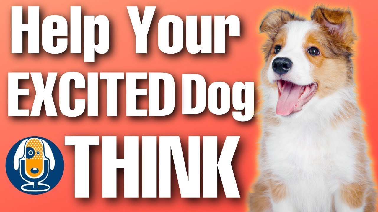 Frantic Dog? Are You Training Both The Hold And The Do? #138 #podcast