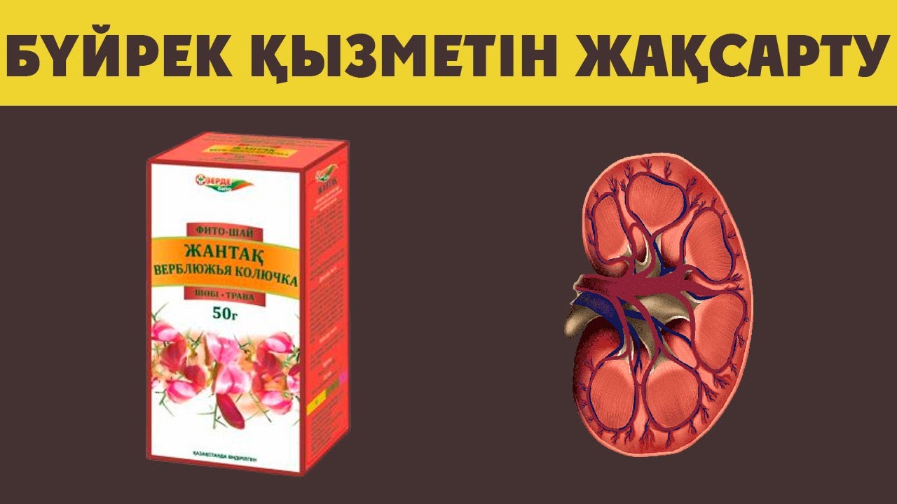 Бүйректі ОСЫЛАЙ ЖАҚСАРТАМЫЗ, Бүйректі ТАЗАРТУДЫҢ ҚҰПИЯСЫ, Бүйрекке пайдалы Тағамдар