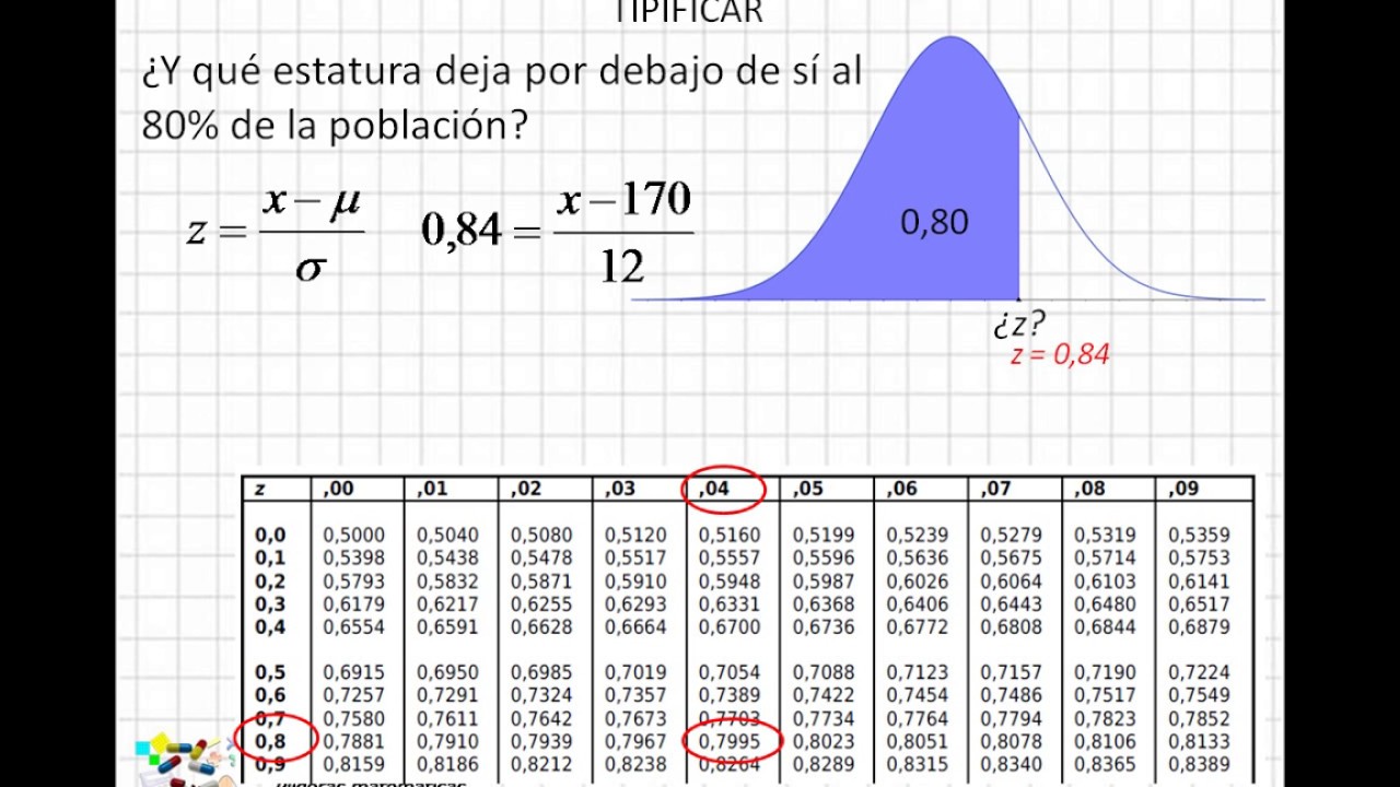 06 Tipificar la variable