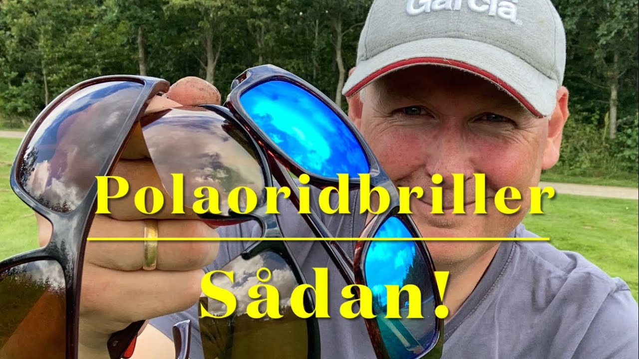 Alt om polaoridbriller!