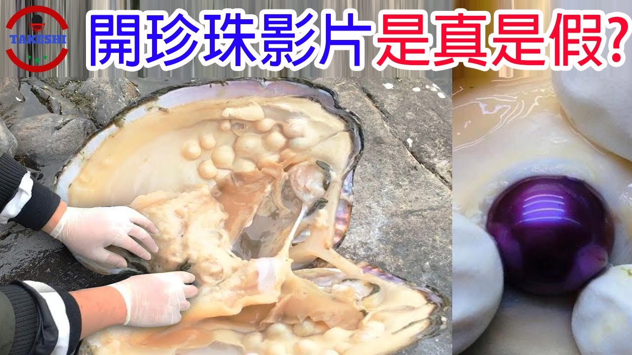 [生物放大鏡]讓討海人一夕致富的深海