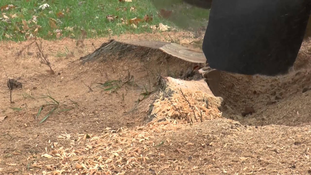 Quadwheel® on a Morbark G42 Large Stump Highlight