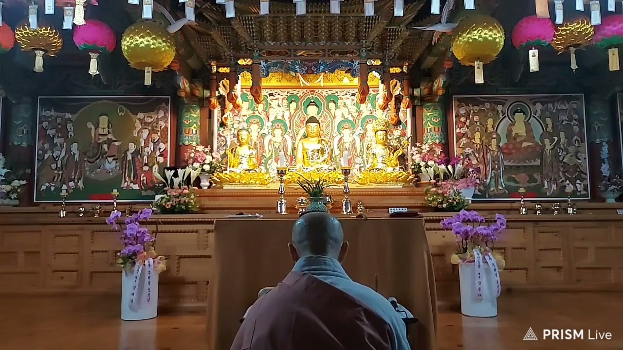 해탈의 삶은 어떻게 해야 이루어 지나요?
