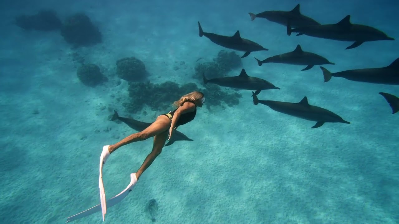 Dolphin Dance in Mauritius' Crystal Waters - An M-WAVE Adventure