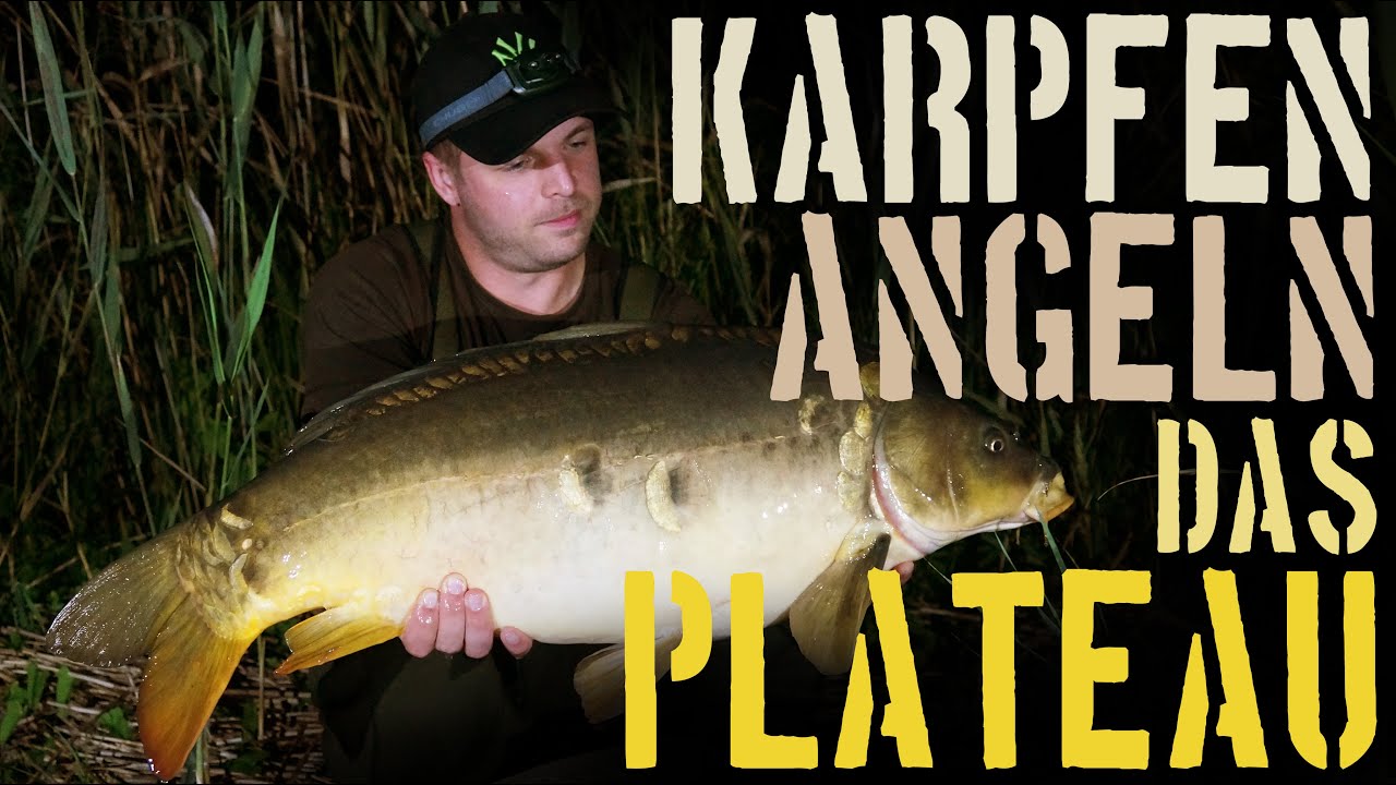 Karpfenangeln - Das Plateau