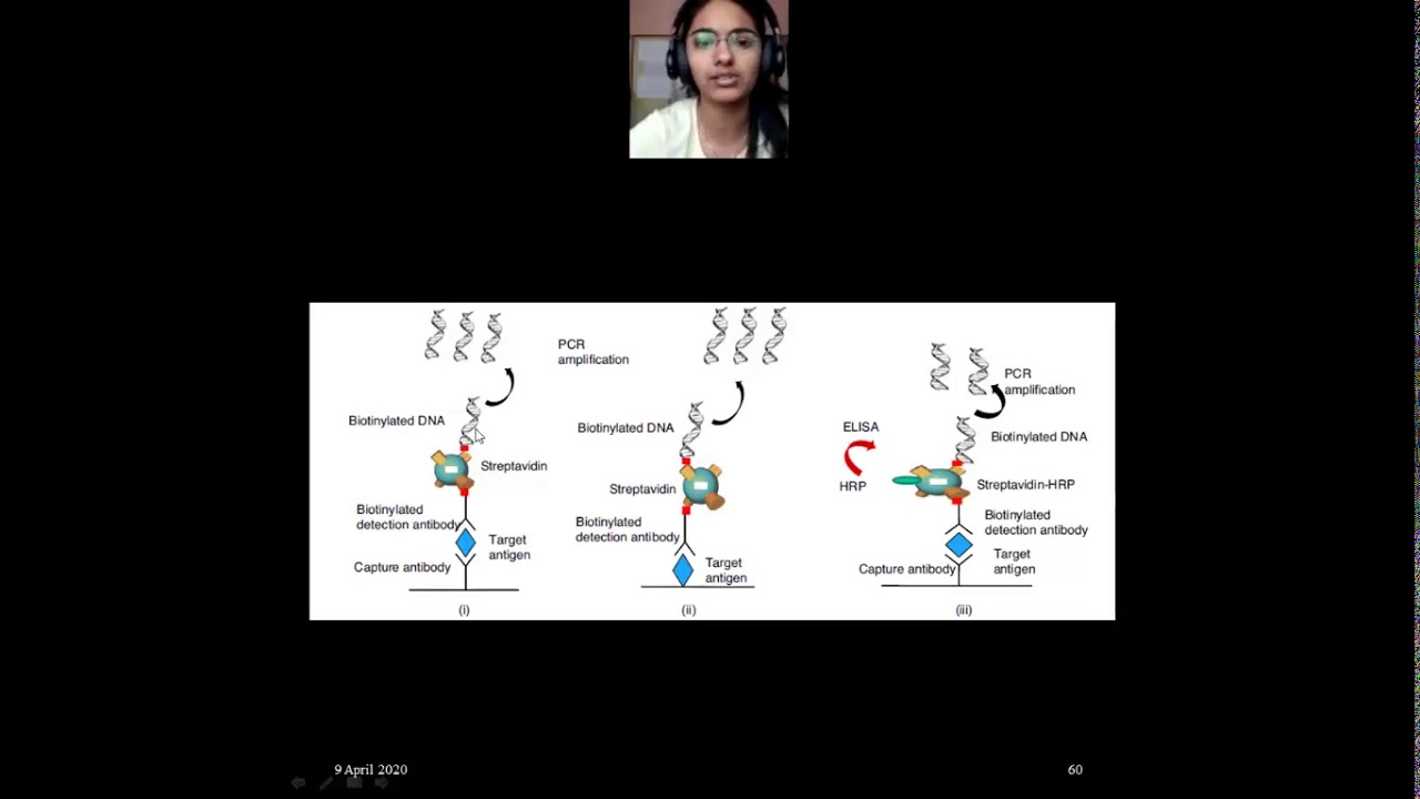 Immuno PCR