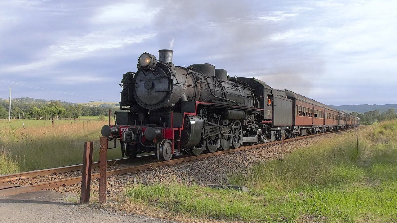 Steam locomotive 5917 Dungog Picnic Train April 2022