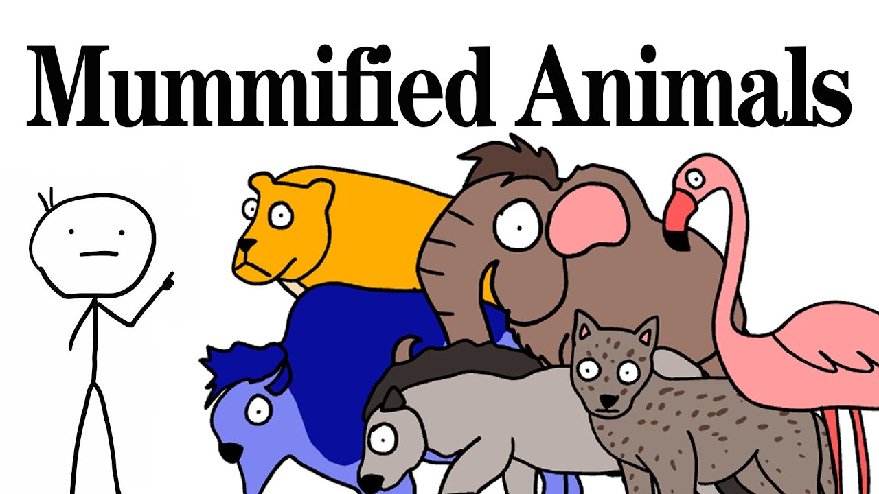 Amazing Mummified Animals We Have Found