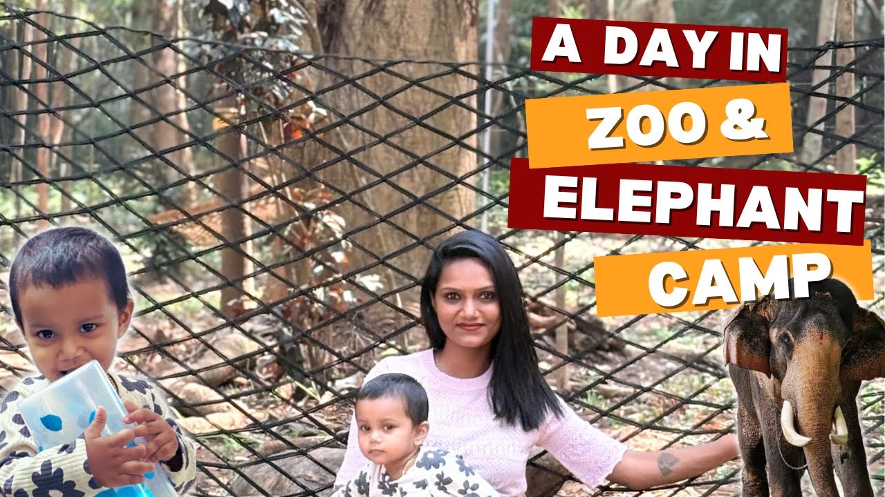 A Day in Abhayaranyam Elephant Camp🐘 Kaprikkad mini Zoo| #video #trending #elephant #fypシ゚viral 