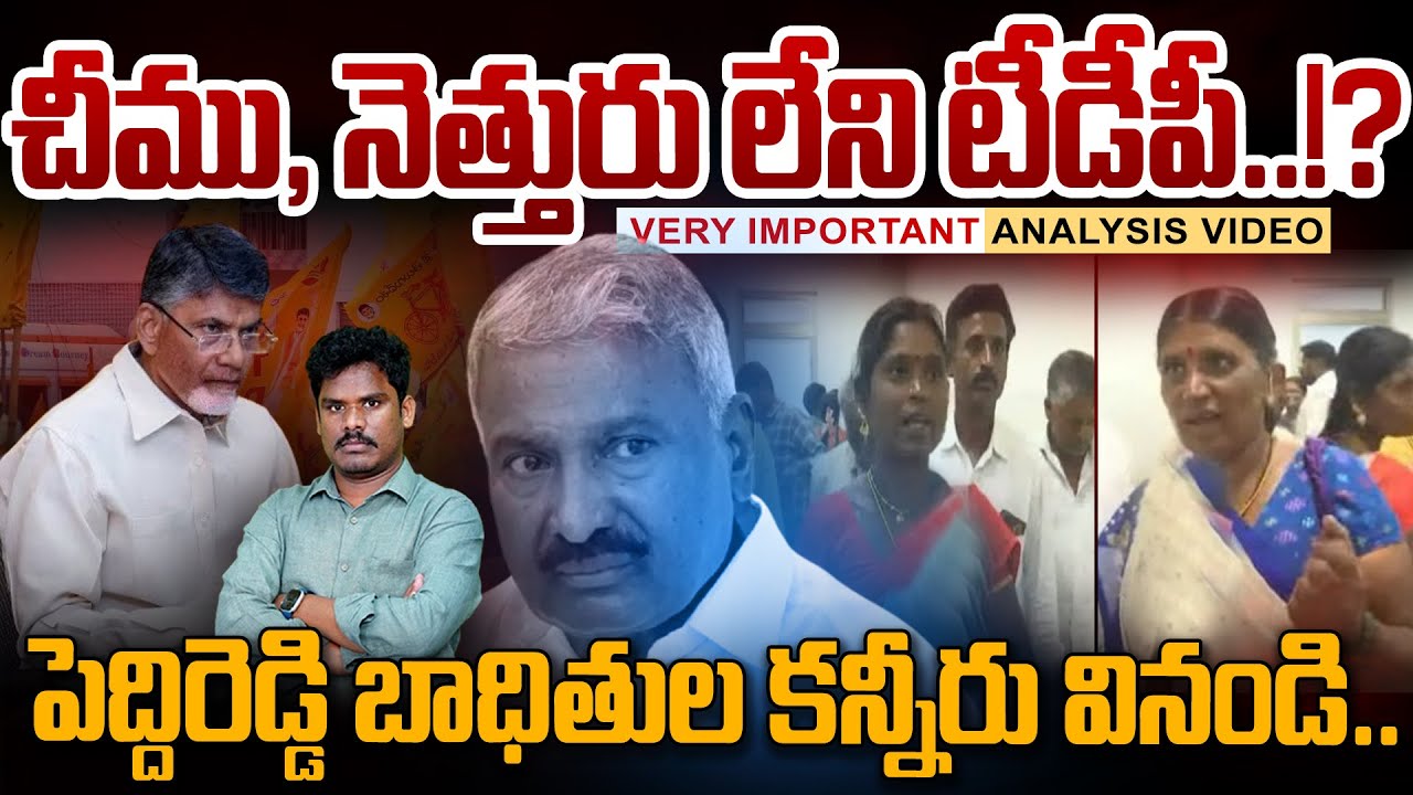 TDP Stand on Peddireddy?: చీము, నెత్తురు లేని టీడీపీ? పెద్దిరెడ్డి బాధితుల కన్నీరు వినండి.. | AP 175