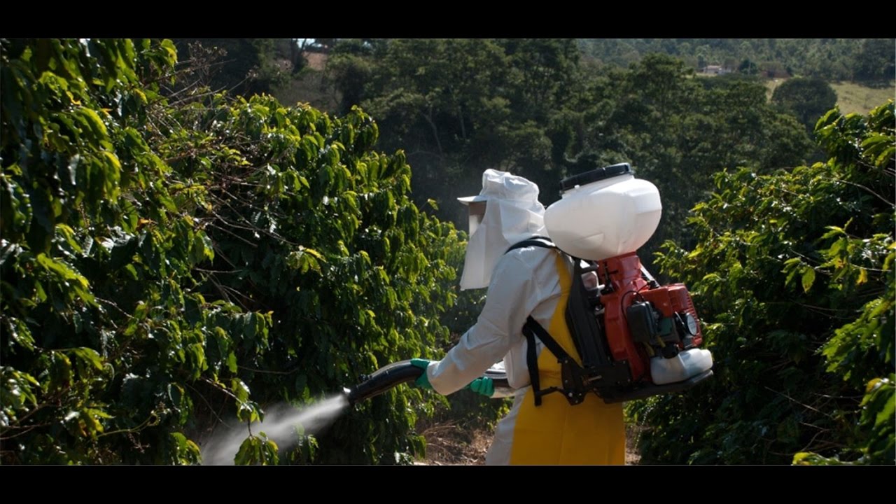 Como Usar Correctamente los Fumigadores de Espalda  - TvAgro por Juan Gonzalo Angel