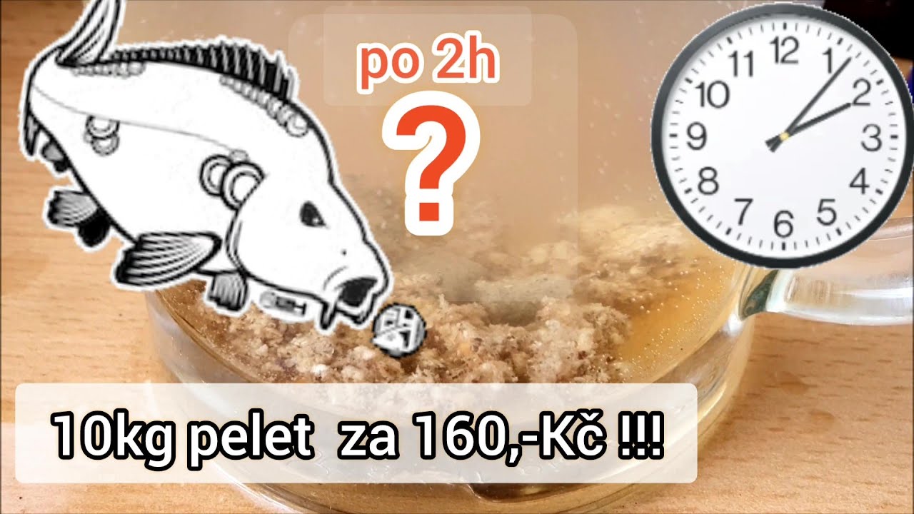🔴RYBAŘENÍ - JAK FUNGUJÍ LEVNÉ ROZPUSTNÉ PELETY A PELETY COPENS, KDE JE KUPUJI A ZA KOLIK