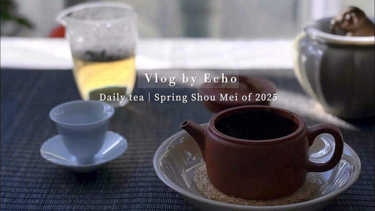 2025 Spring Shoumei.🍵