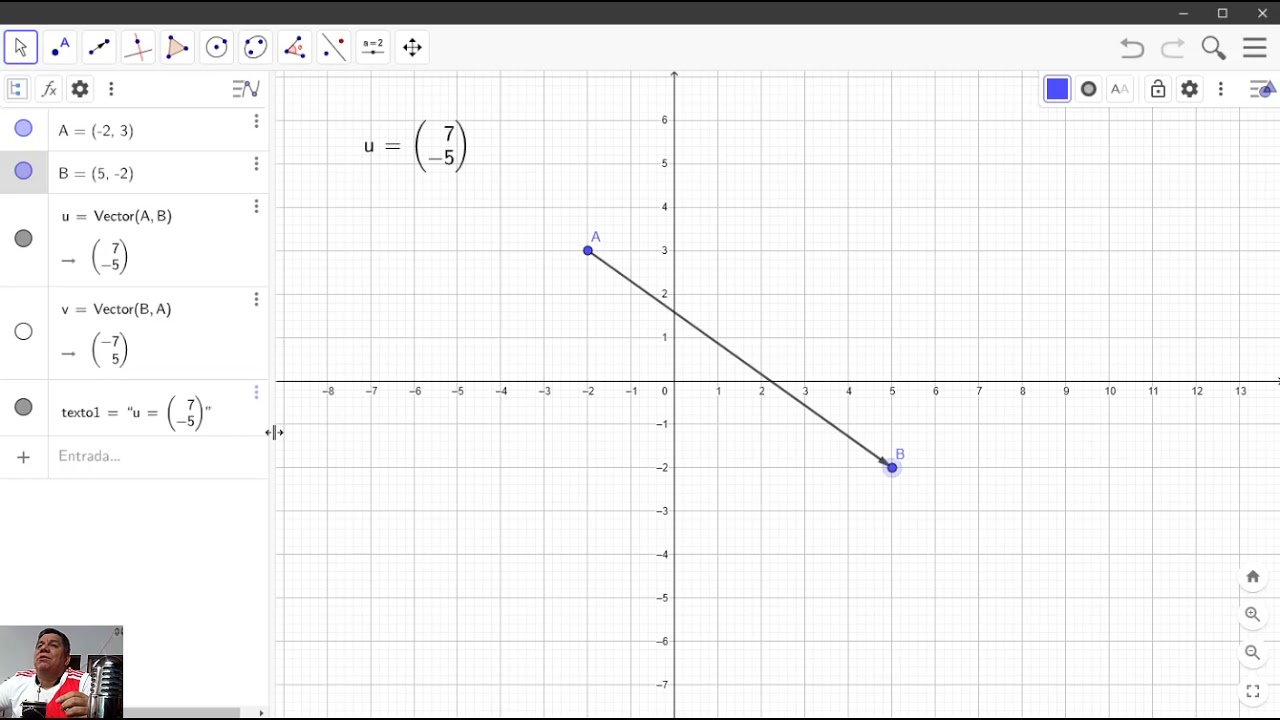 Vector nulo y vector opuesto