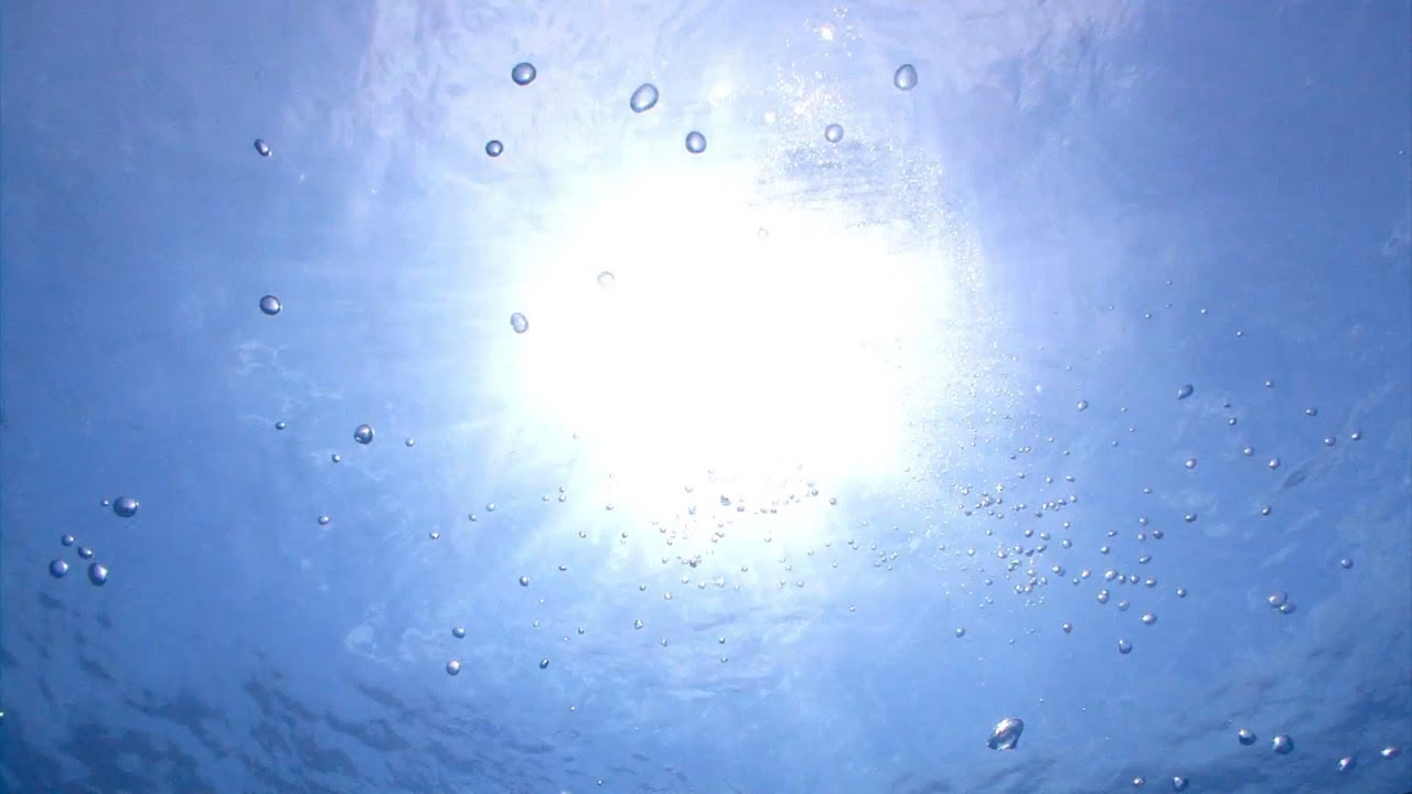 Kuleana Coral Restoration Creation Story