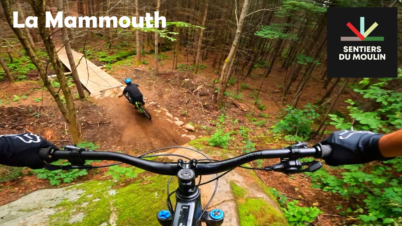 La mammouth  |  Le nouveau sentier expert des sentiers du moulin, à mettre sur votre liste!!!!
