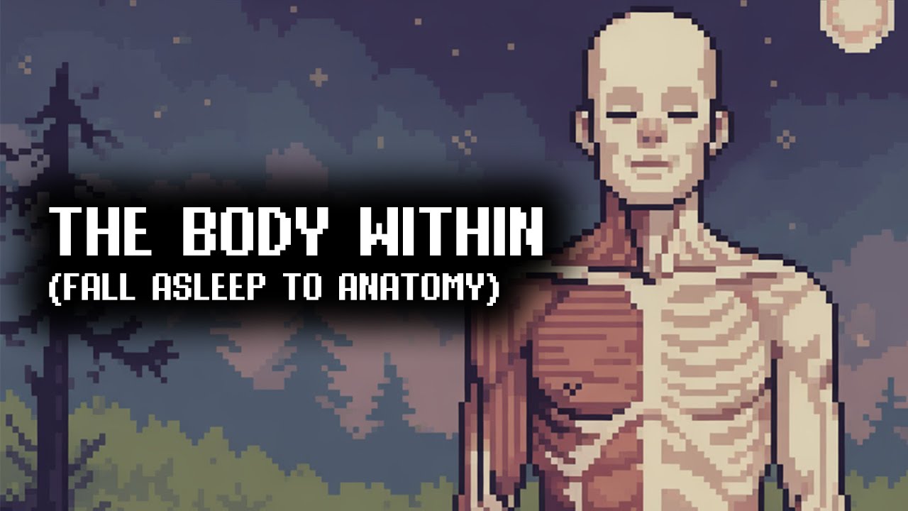 Human Organs and Their Secrets | Sleep-Friendly Lecture