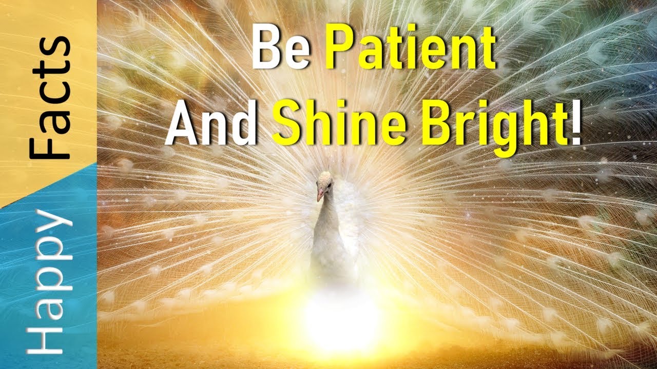Why Patience is a Virtue - How to be More Patient in Life