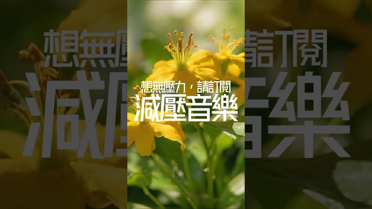 【100%寧靜音樂】短短一小時，寧靜音樂讓您平靜舒心，消除壓力及焦慮，給你正能量，舒暢心情，過慮一天生活煩惱，提升睡眠品質 Music for Stress Relief & Sleeping