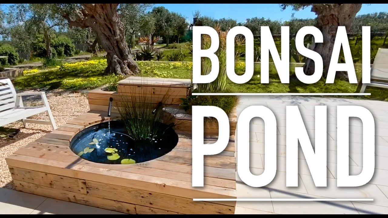 Mini Pond - Bonsai Pond - Tutorial Laghetto