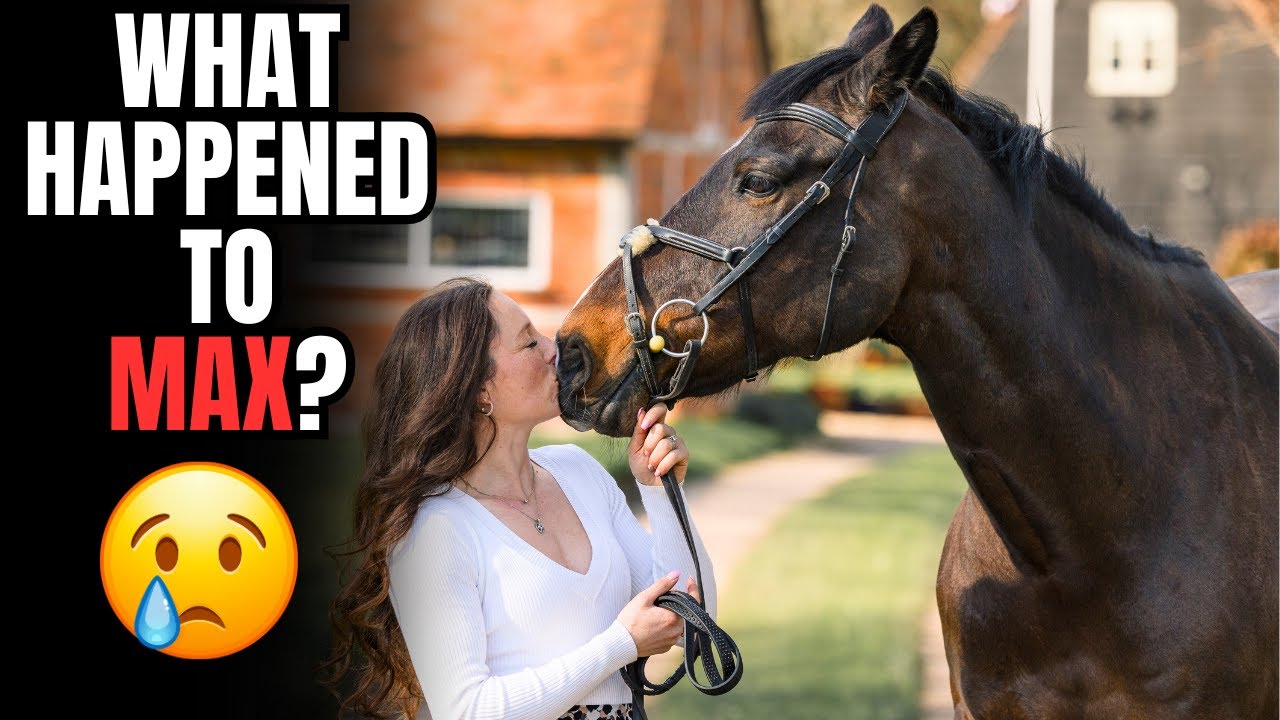 WHAT HEPPENED TO MAX?!? | MAX UPDATE VLOG || VLOG 138