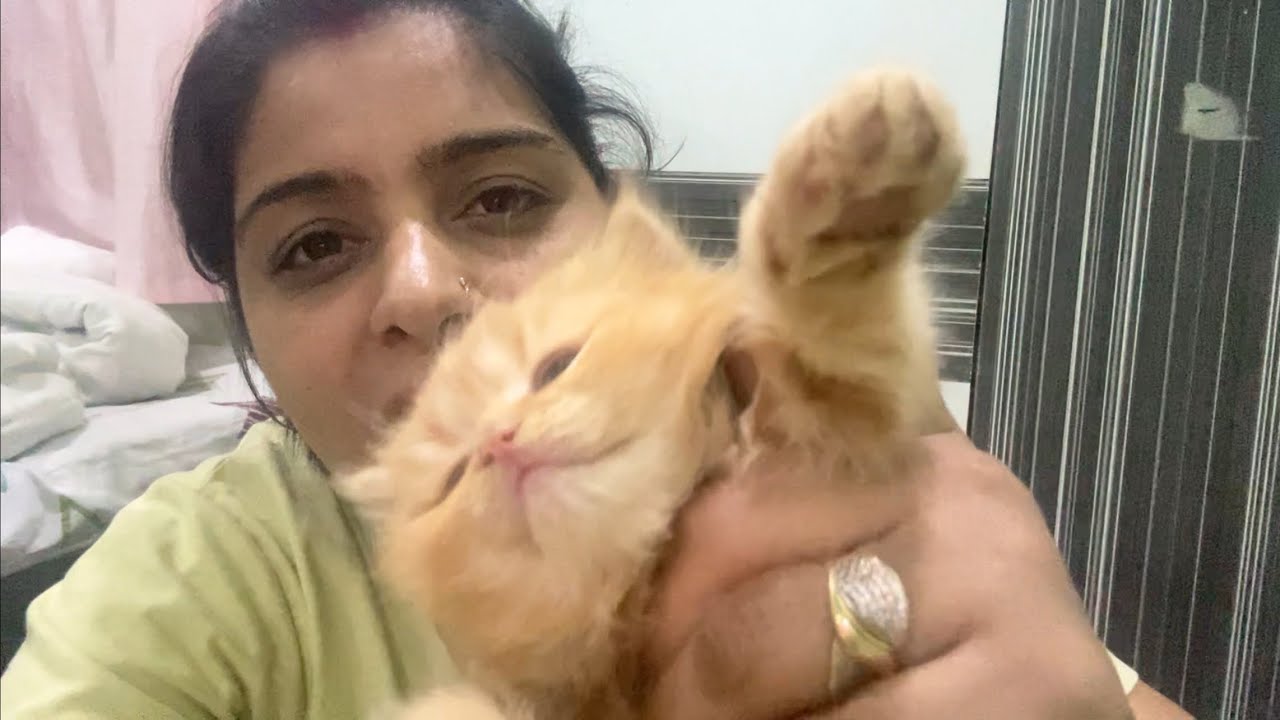 Milky ne aaj apne Bacho k saath y kya kar ￼ diya 