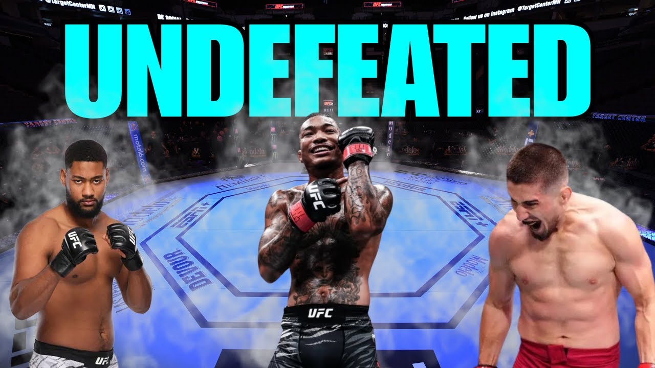 Лучший непобежденный перспективный боец ​​в каждом дивизионе UFC