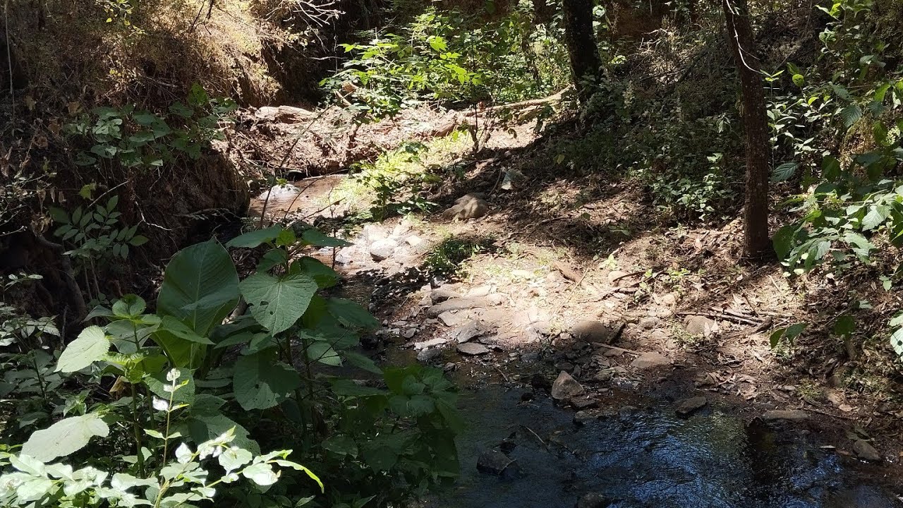 Visita al Parque Nacional Insurgente Morelos, 