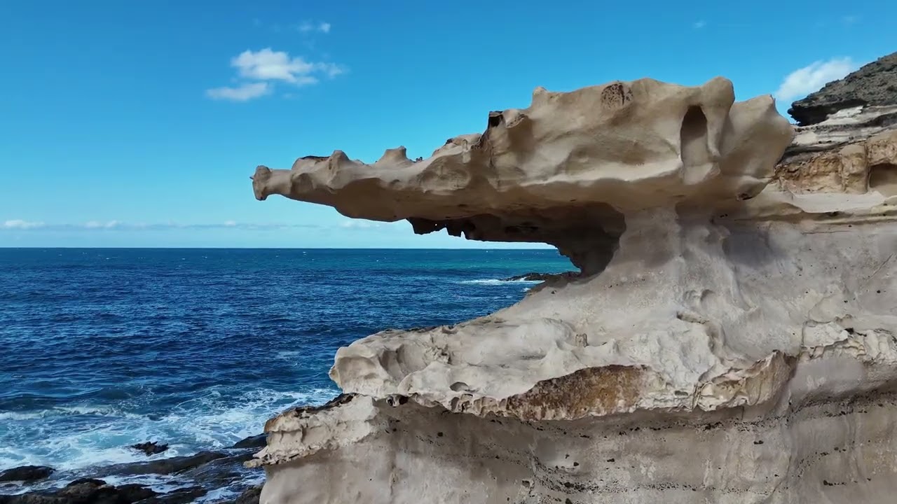 Fuerteventura Wanderung La Pared Krokodil