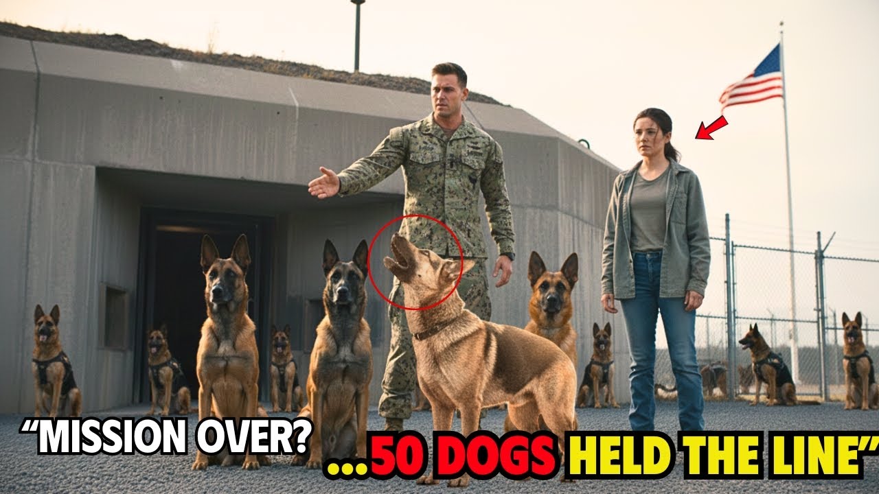 Navy SEAL Said Go Home — But All 50 Military Dogs Refused And Guarded The Bunker Instead