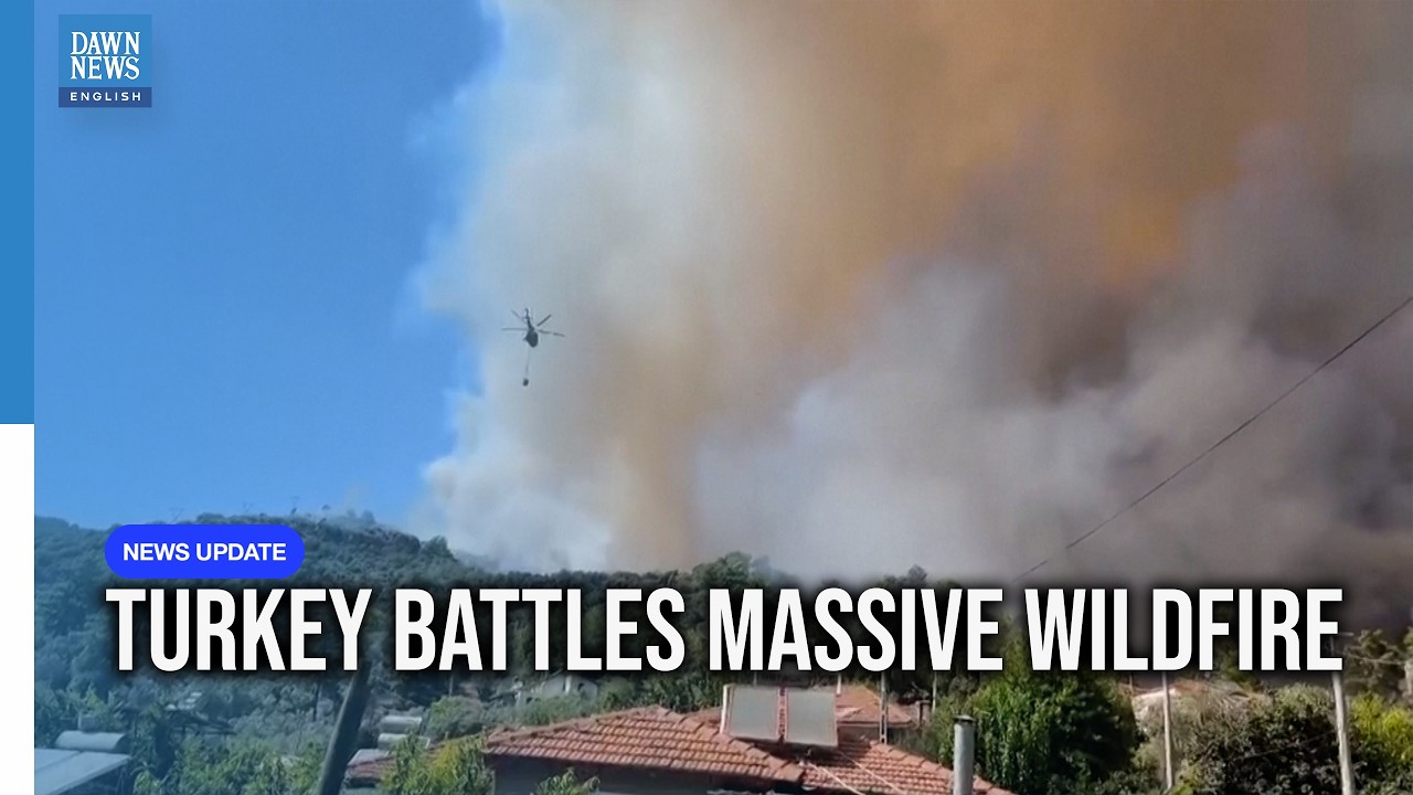 Helicopters, Firefighters Battle Fast-Spreading Wildfire in Southwest Turkey | Dawn News English