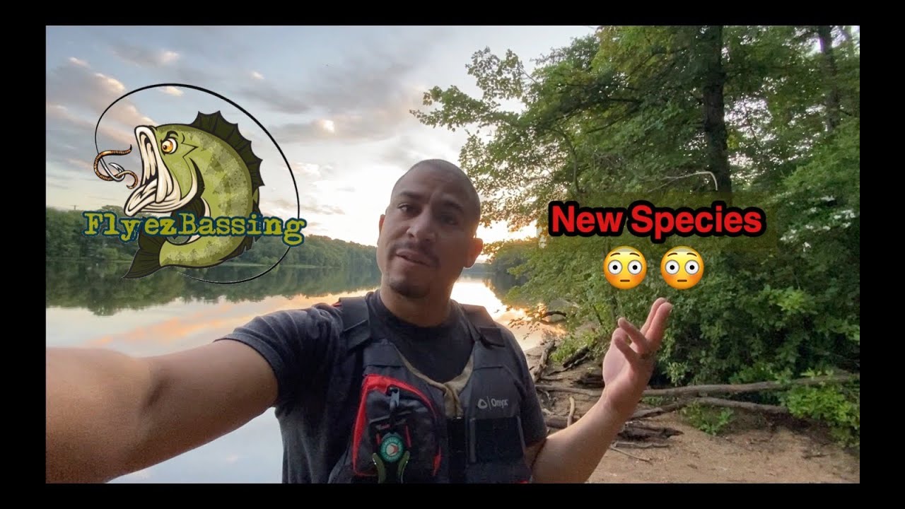 Multi-Species Fishing in Farrington Lake, New Jersey (New Species!!)