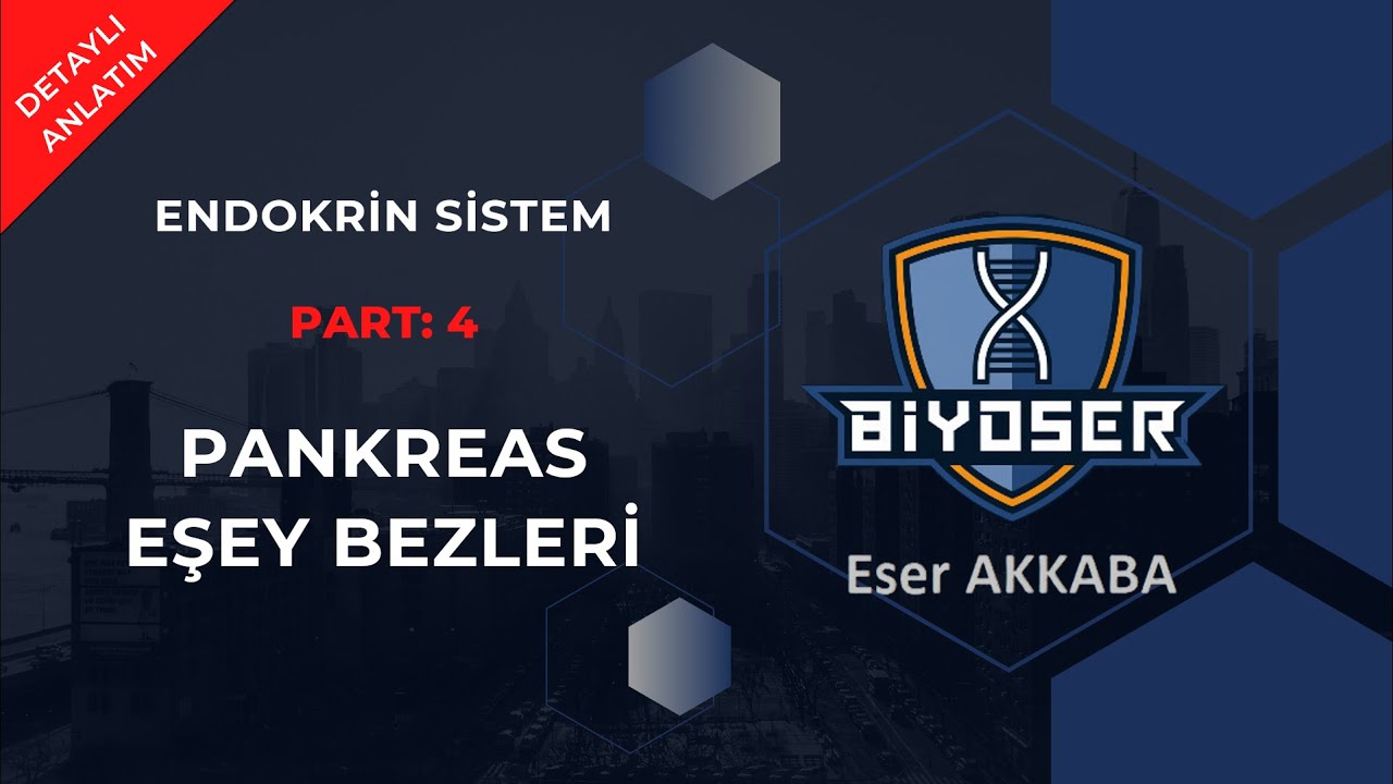 PANKREAS ve EŞEY BEZLERİ - ENDOKRİN SİSTEM | 11. Sınıf Biyoloji Konu Anlatımı