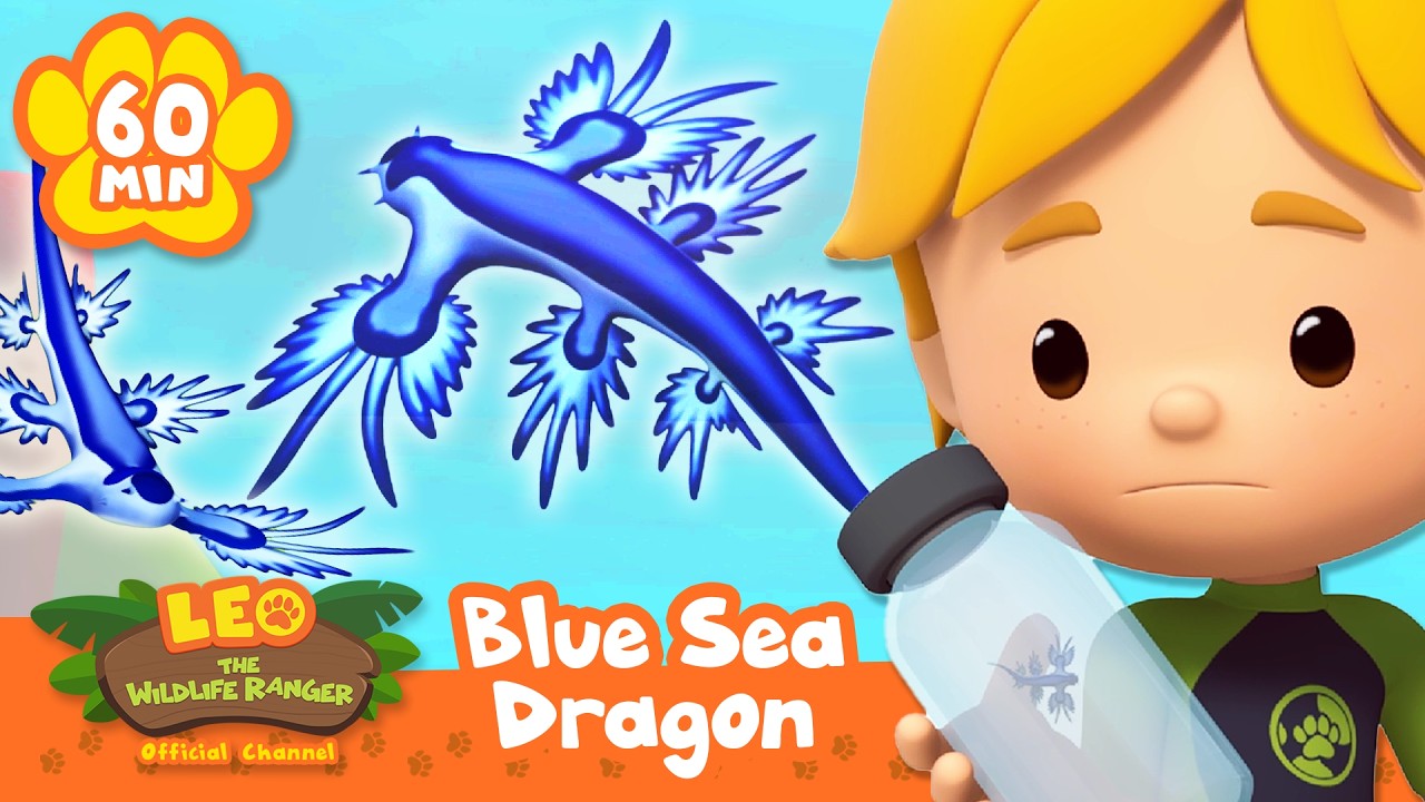 Leo Frees a Blue Dragon into the Sea?! | Leo the Wildlife Ranger | Animal Cartoons for Kids