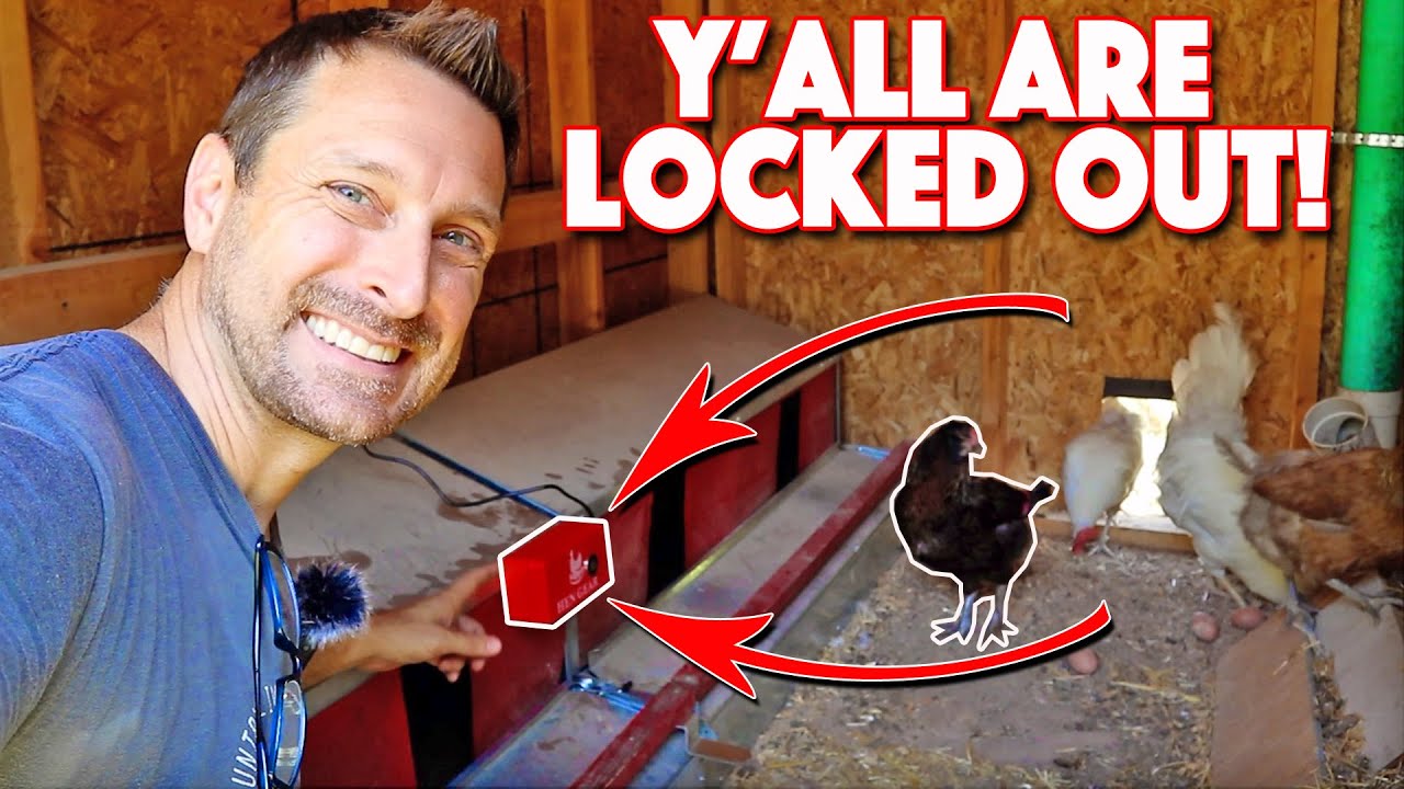 How To Install Hengear Auto Roost | Nesting Box For Chickens Accessories
