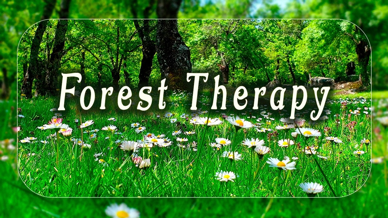 Spring Energy Forest Therapy 🌳 Begin Your Day with Positive Morning Vibrations 🌳 Healing Frequency
