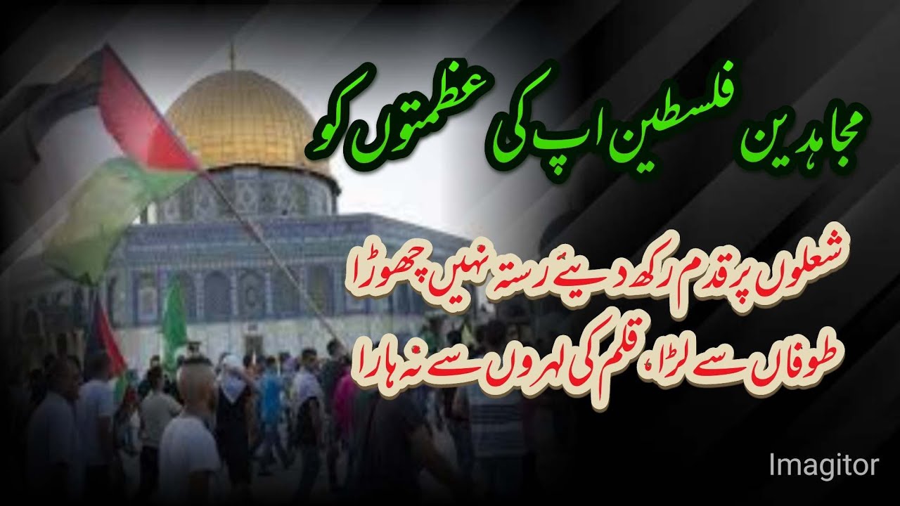 Mujahideen Palestine🇸🇩🇸🇩 please free Palestine @Poetrylines146