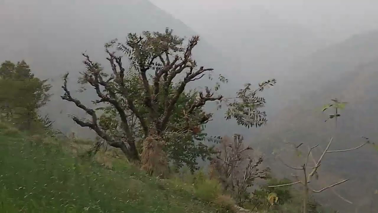 हम गए खेत में कपड़े लगाने के लिए।😍😍@soniyaBhandarivlogs 