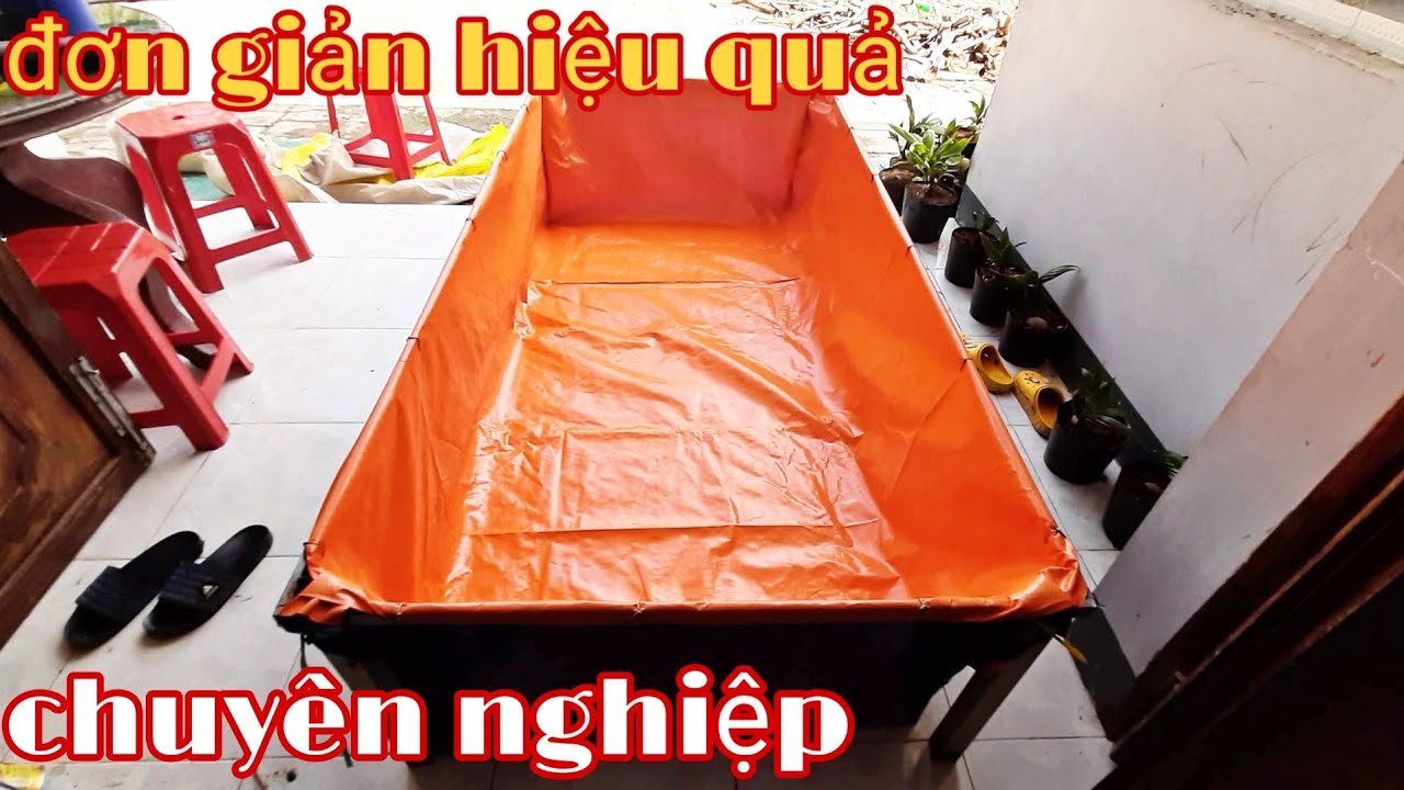 cách làm bể lót bạt | chi tiếc ích chi phí | nuôi ếch bể lót bạt | nuôi lươn không bùn