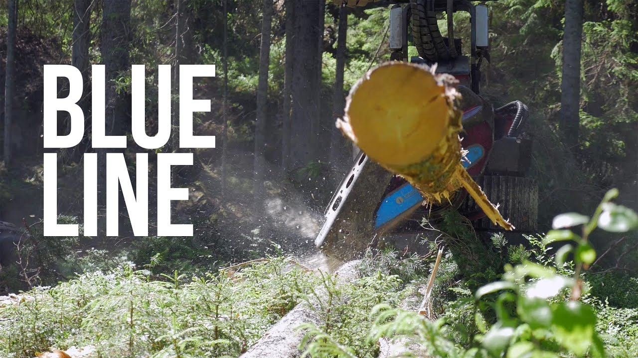 Iggesund Blue Line Sk&ouml;rdarsv&auml;rd