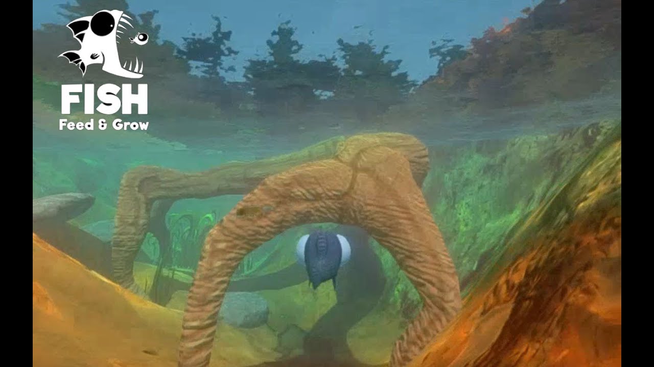 Feed and Grow: Fish 🐟 - Es ist Laichzeit | Gameplay Deutsch/German