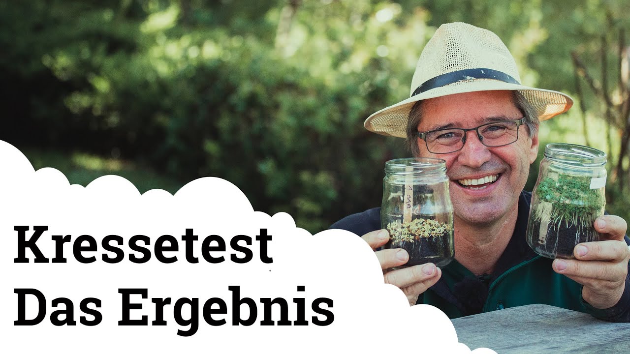 Der Kressetest | Auswertung der Kompostqualität 🌱