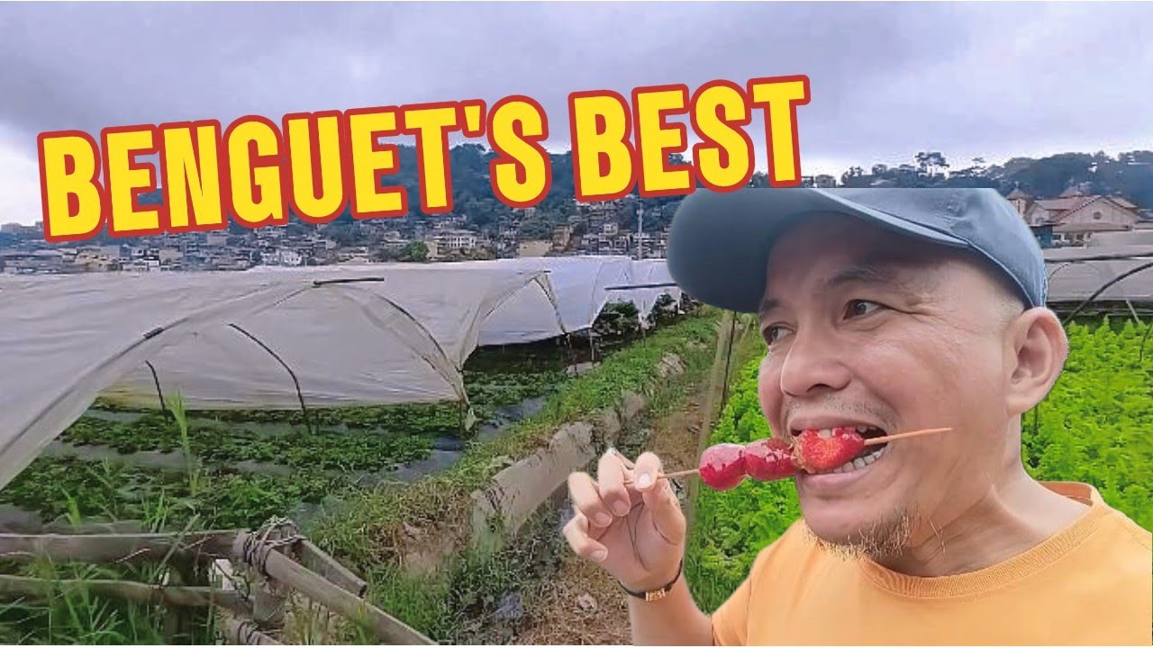THE BEST OFFERS OF LA TRINIDAD, BENGUET | STRAWBERRY FARM