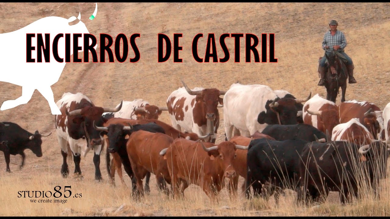 Encierros de castril 2016