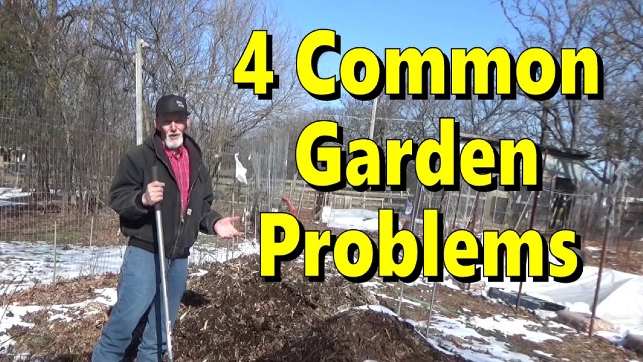 Deep Mulch Magic, Solve 4 Common Problems In Your Garden