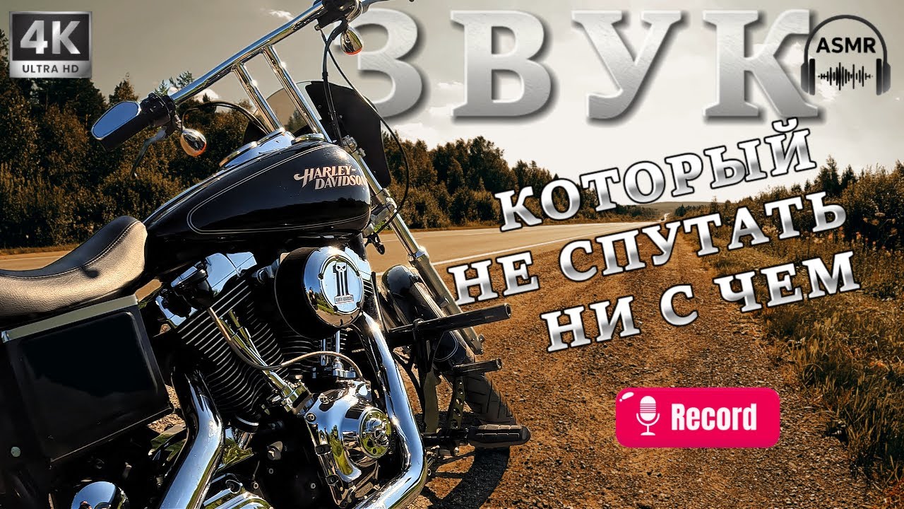 Самый лучший звук | Harley-Davidson Dyna Low rider | ASMR [POV 4K]